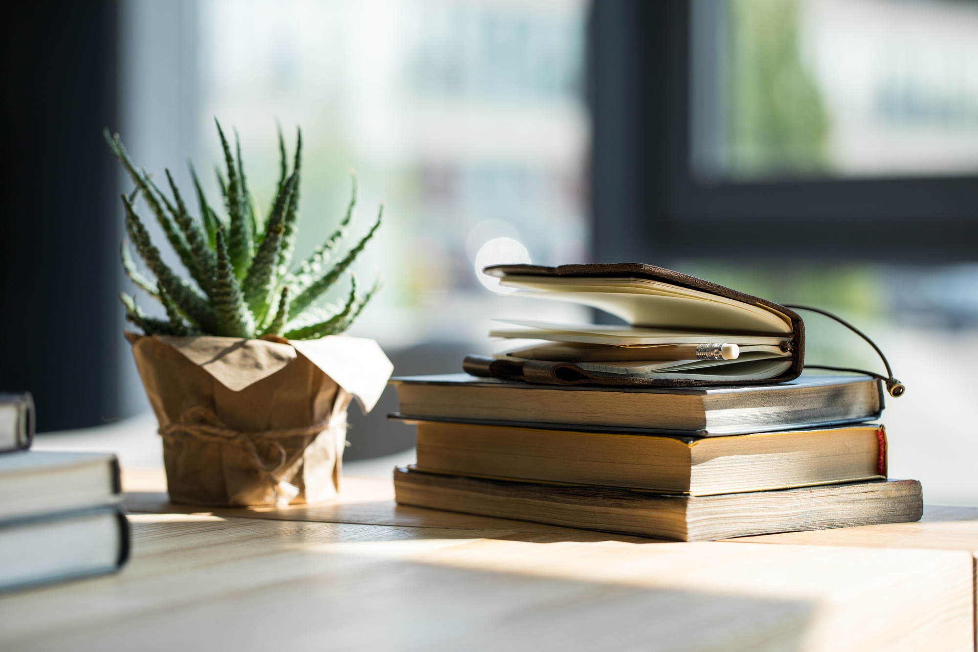 7 Book Recommendations for Sales Leaders